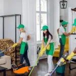 How to Deep Clean Your Home Like a Pro: Essential Steps and Tips